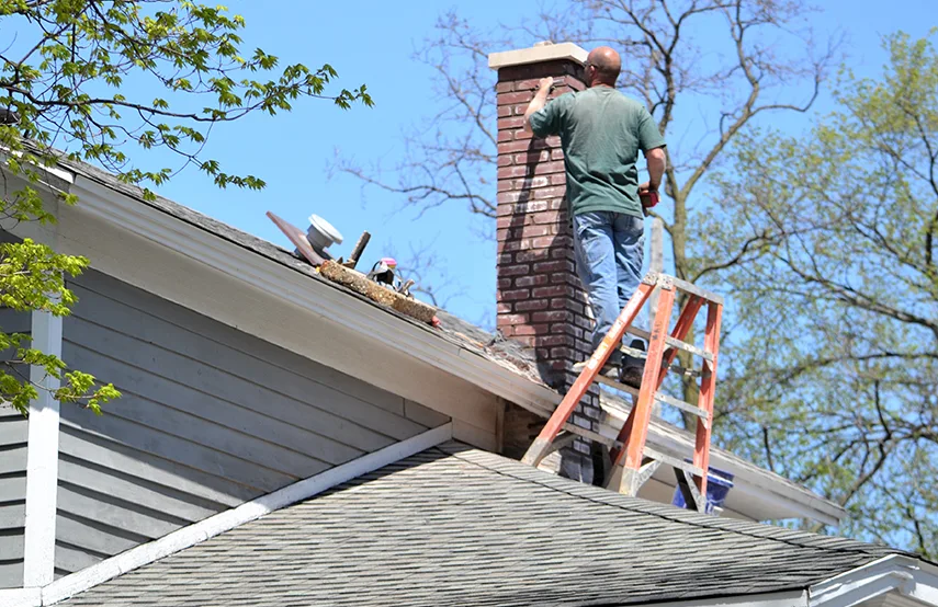 Chimney & Fireplace Inspections Services in Thomasville, GA